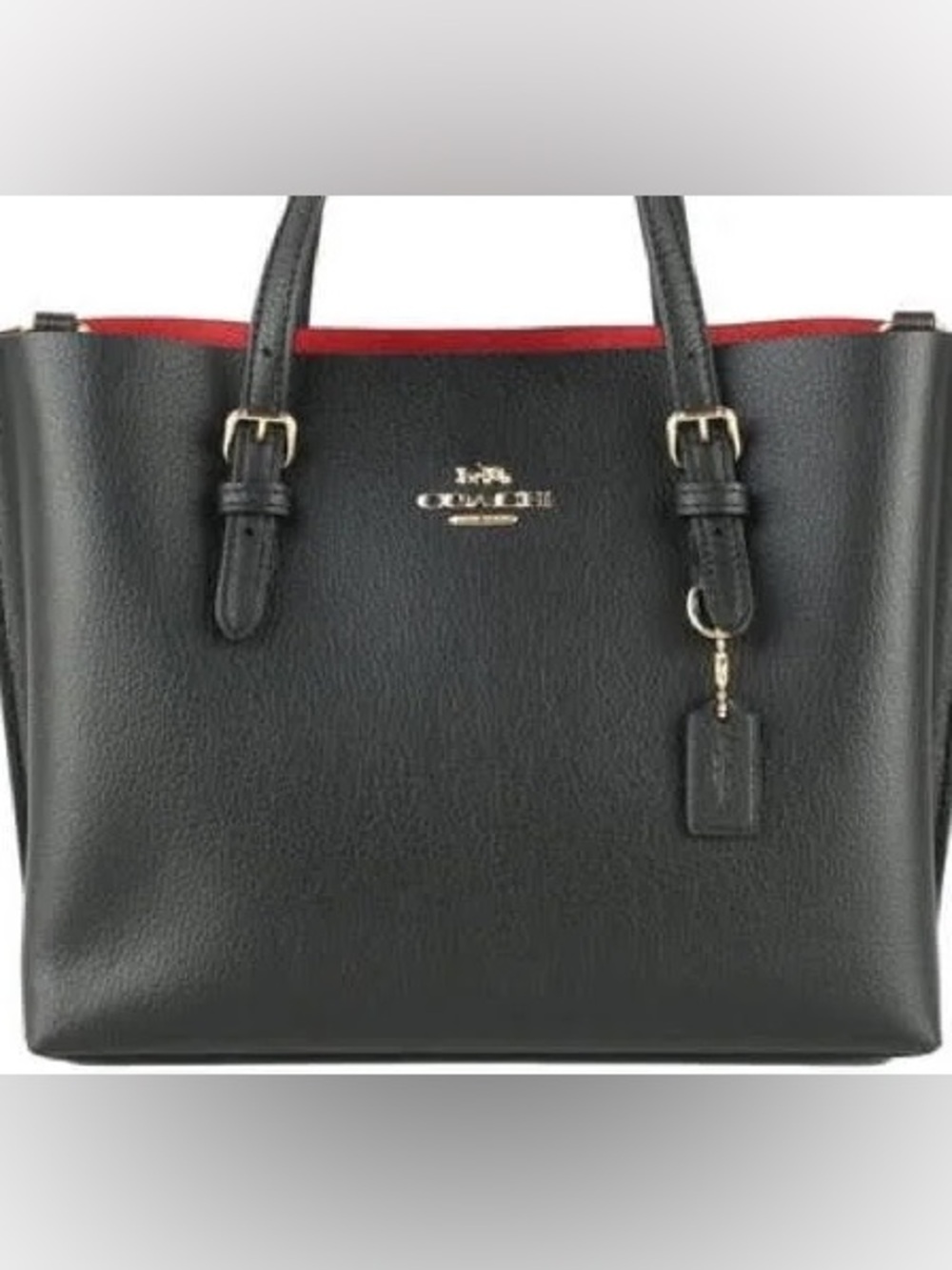 Coach Mollie Tote